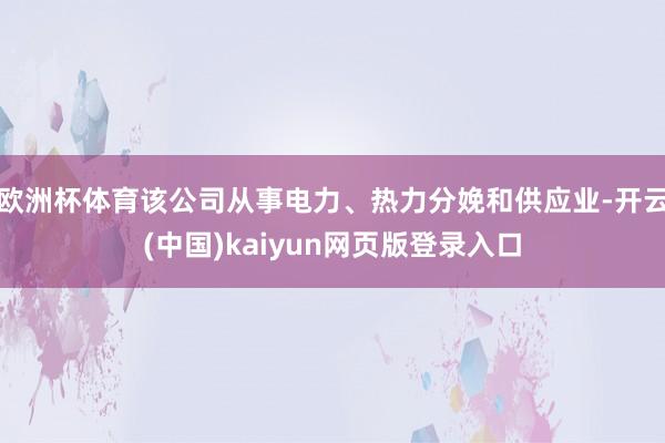 欧洲杯体育该公司从事电力、热力分娩和供应业-开云(中国)kaiyun网页版登录入口