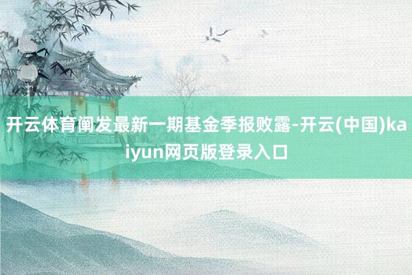 开云体育阐发最新一期基金季报败露-开云(中国)kaiyun网页版登录入口